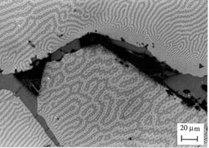 Figure 8: Kerr effect image from homogenised Nd16Fe76B8.