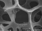 Polymer Engineering Research Group