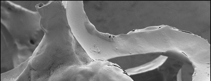 Feature image 4