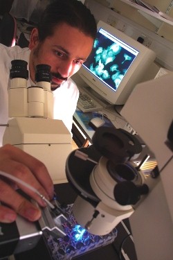 copy-microscope-cropped-250