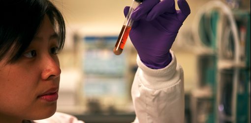 A test tube sample in Biosciences
