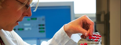 Researcher carrying out important work thanks to Alumni funding