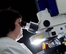 microscope