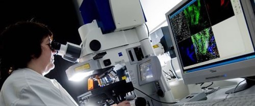 microscope