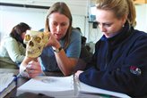 Students studying a skull in a masterclass
