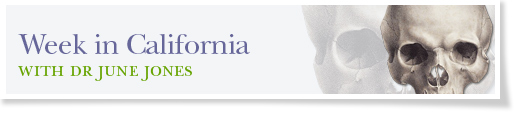 blog-week-in-california