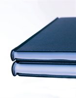 diaries2