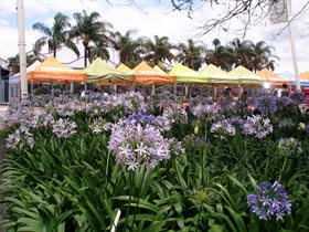 durban blog 3
