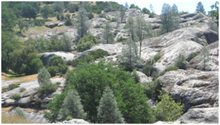 native-americans-forest