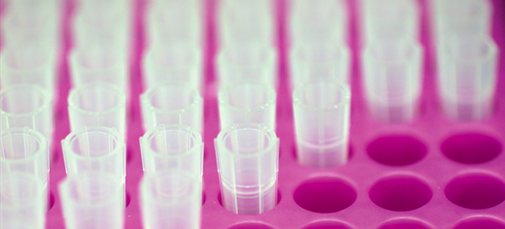 row test tubes