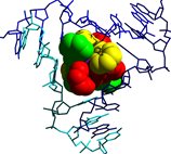 DNA recognition