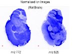 MS imaging