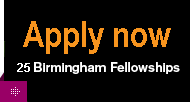 fellows-2012-promo