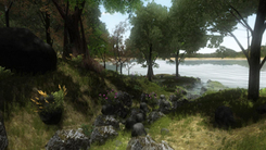virtual-burrator-245