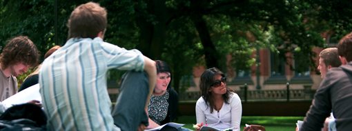 Students studying outside