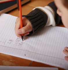 Disability Inclusion and Special Needs