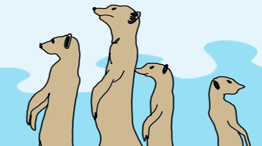 A sketch of a group of 4 meerkats