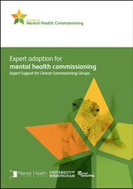 Expert adaption for mental health commissioning