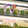 Research-into-plantlife