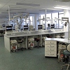 Phantom head lab