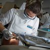Student working on a phantom head