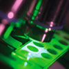 You may opt to undertake a summer research project within the College, for which funding is available.