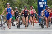 NonStanford