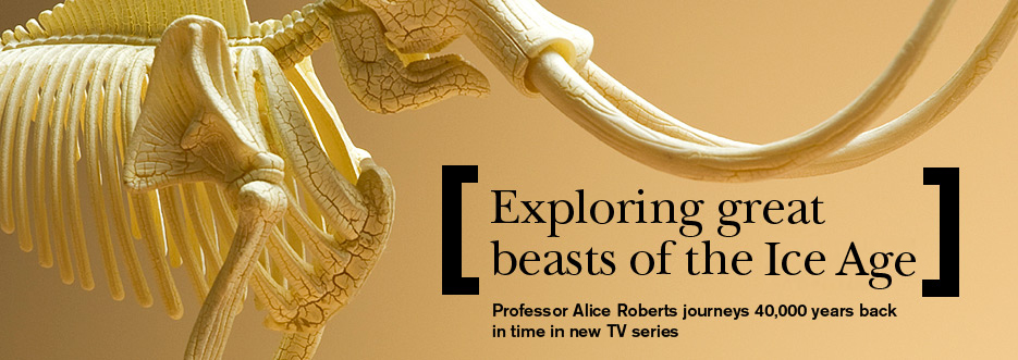 Professor of Public Engagement in Science Alice Roberts talks about her latest series 'Ice Age Giants'