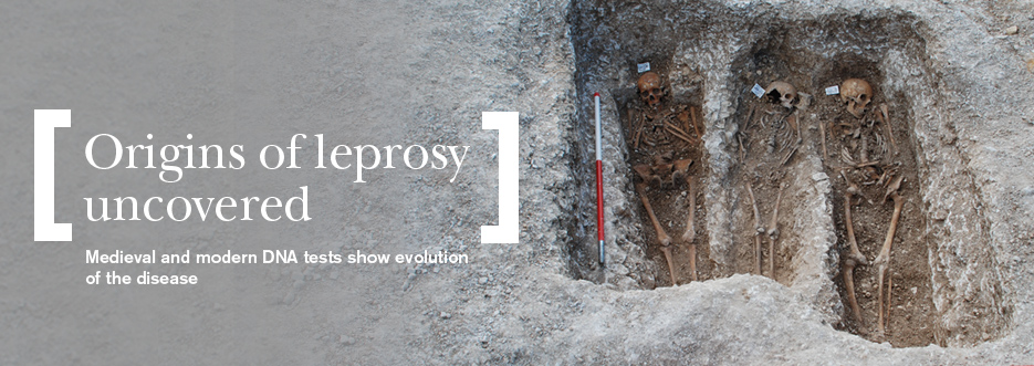 Medieval leprosy genomes reveal insights into the history of the disease