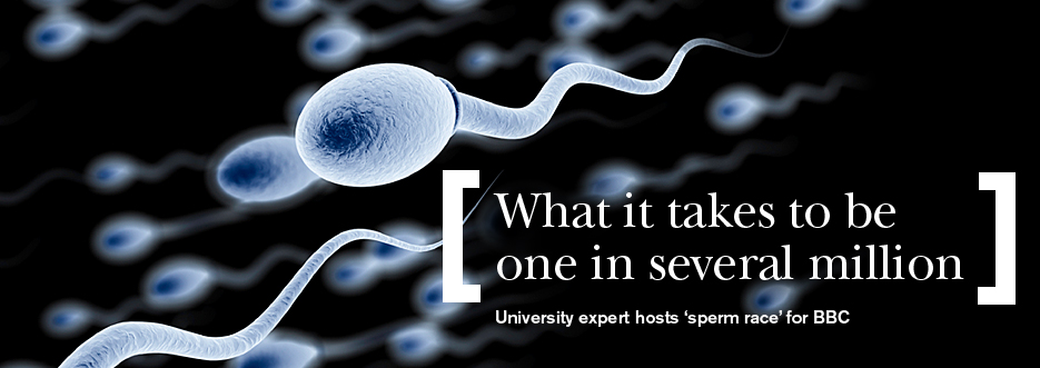 What it takes to be one in several million
