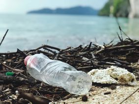 A plastic bottle on the washed up on a shoreline