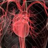 New clinical trial aims to improve heart protection during surgery in children