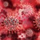 Individuals with immunodeficiency at high risk of mortality following SARS-CoV-2 infection