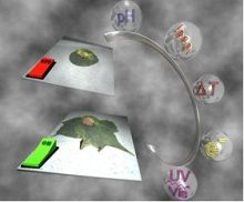 Switchable-Biological-Surfaces