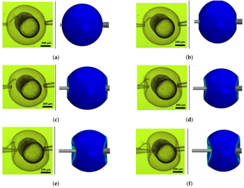 Eye positional graphic