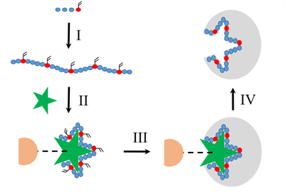 Hybrid Aptamer-Molecularly Imprinted Polymer (AptaMIP) Nanoparticles Selective for the Antibiotic Moxifloxacin