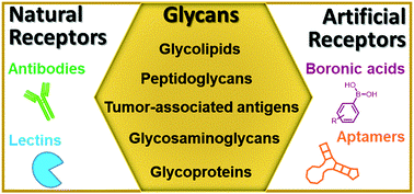 publication image 85