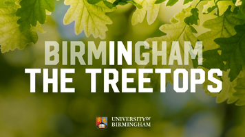 Birmingham in the Treetops logo