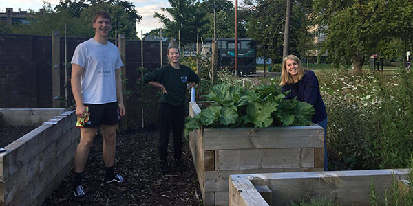 Three students in an allotment