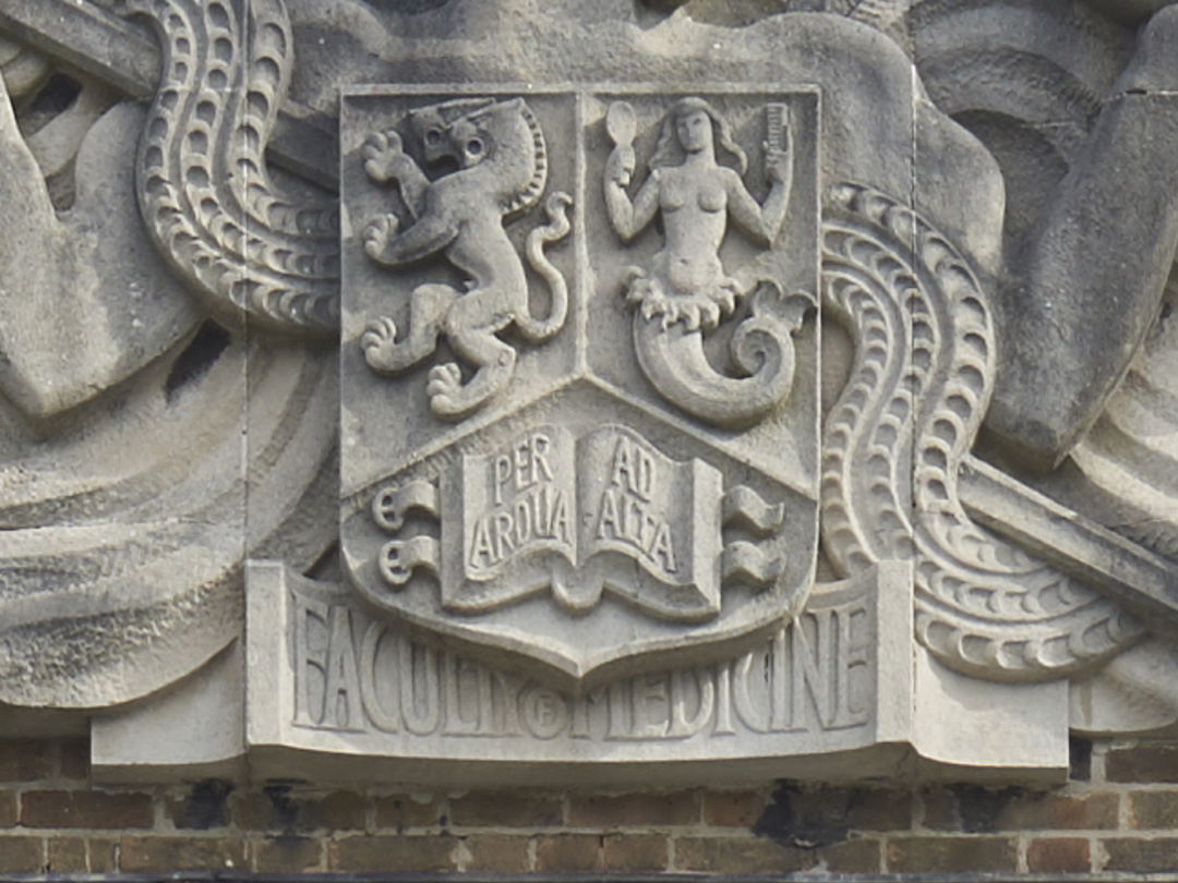 Close up of carved stone shield featuring a male figure and a serpent on the front of the Medical School by William Bloye