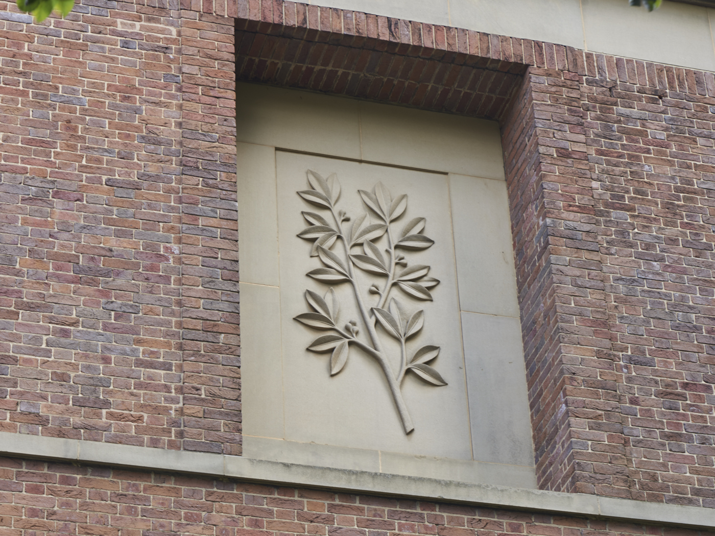 Carved stone panel set into the wall of the Barber Institute of Fine Arts by Gordon Herickx featuring a carving of a laurel