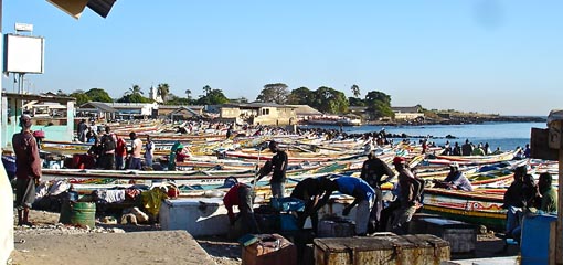 Dakar fish market