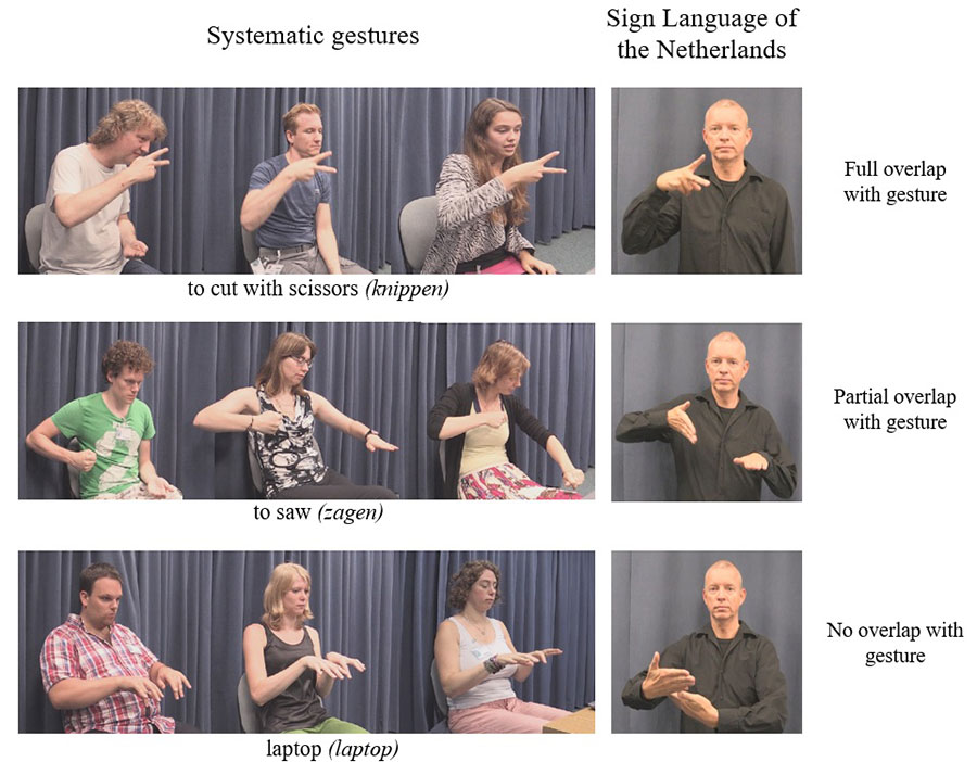 Screenshots of various sign language gestures