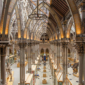 Oxford University Museum of Natural History Photograph by Scott Billings
