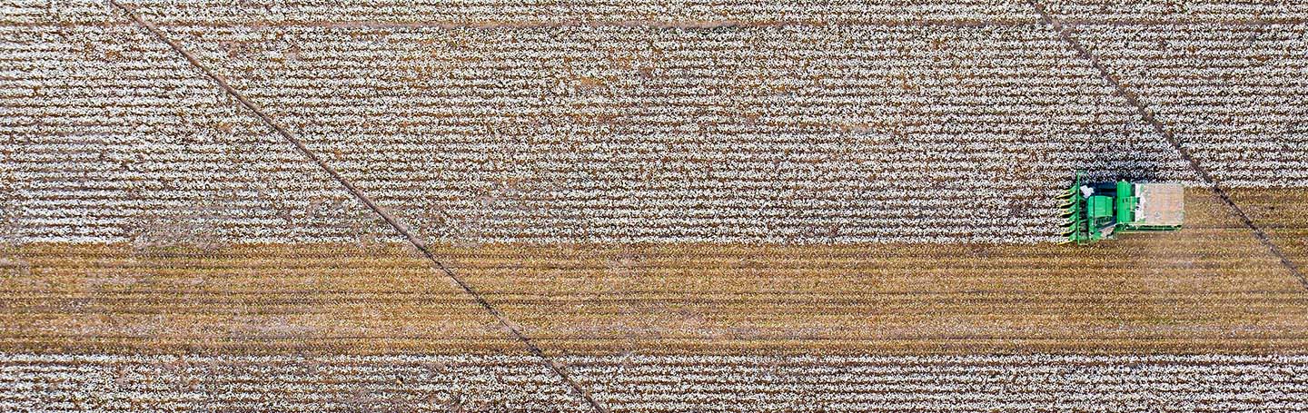 Aerial view of a combine harvester