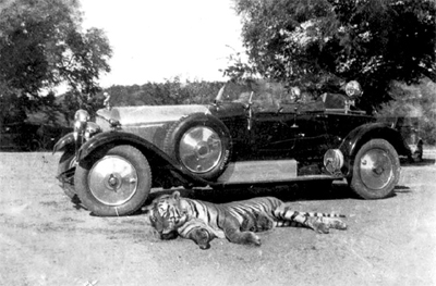 A tiger on the ground with a vehicle behind it