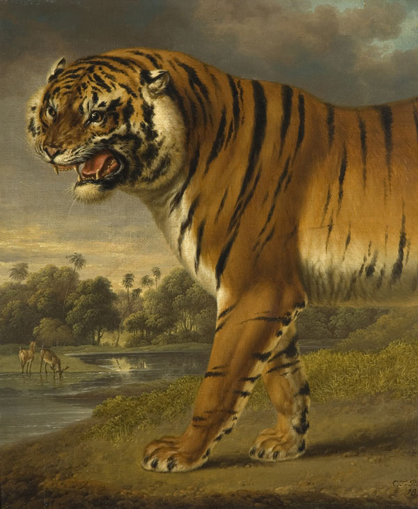 Charles Towne, A Tiger (1818), oil on canvas, 34.3 x 29.3 cm ©Wolverhampton Art Gallery