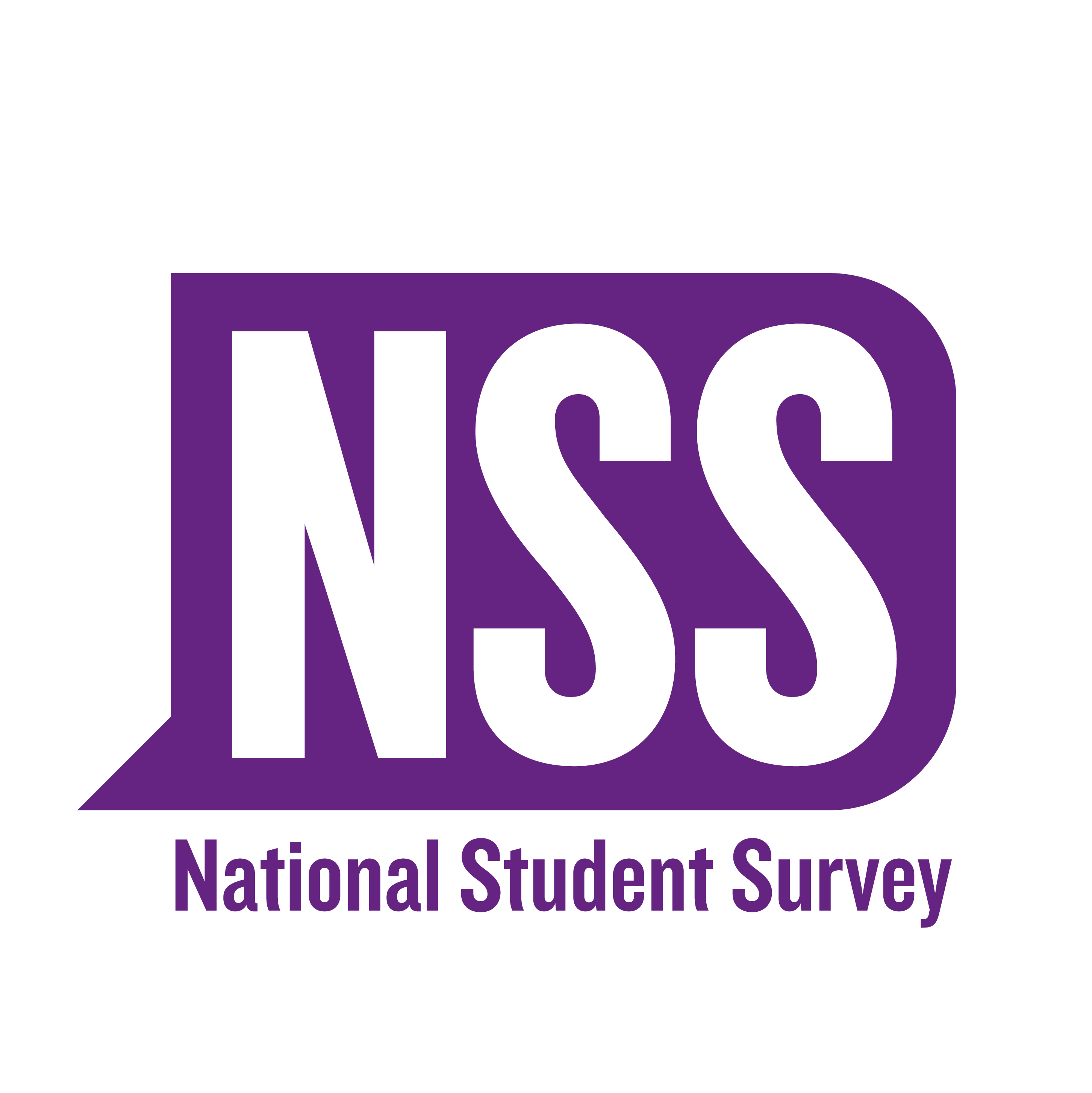 1617_NSS_2017_Logo