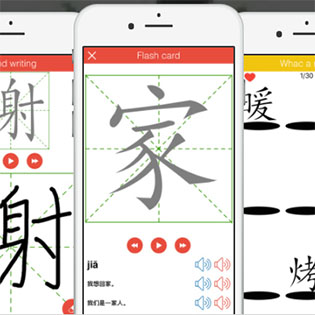 A mock-up of the HANZI app on a phone screen