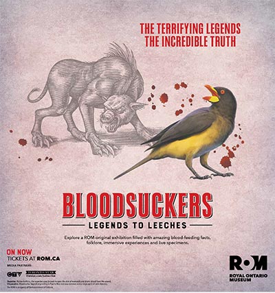 Bloodsuckers exhibition poster with drawing of bird and an imagined wolf-like animal